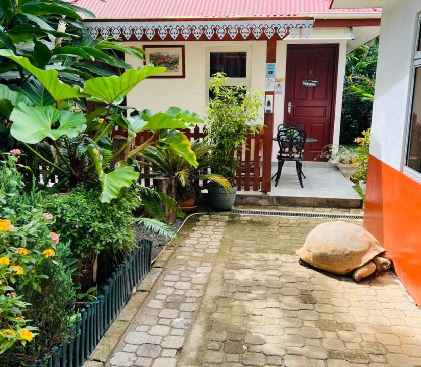 Photo of Others in Mahe Island