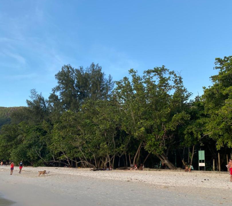 Photo of Others in Beau Vallon