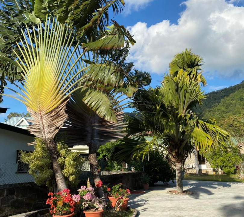Photo of Others in Beau Vallon