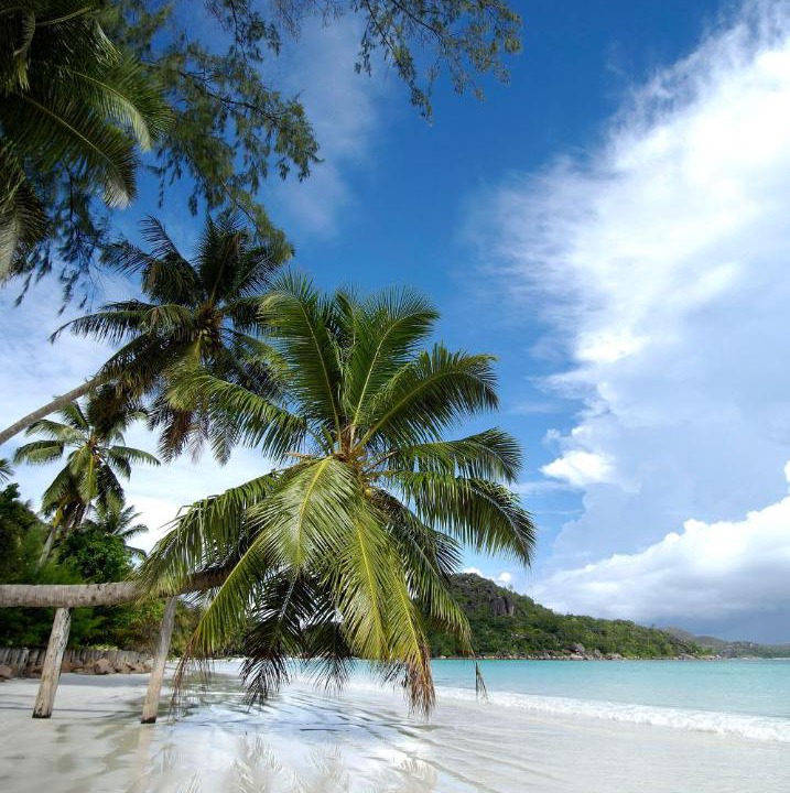 Photo of Others in Anse Volbert Village