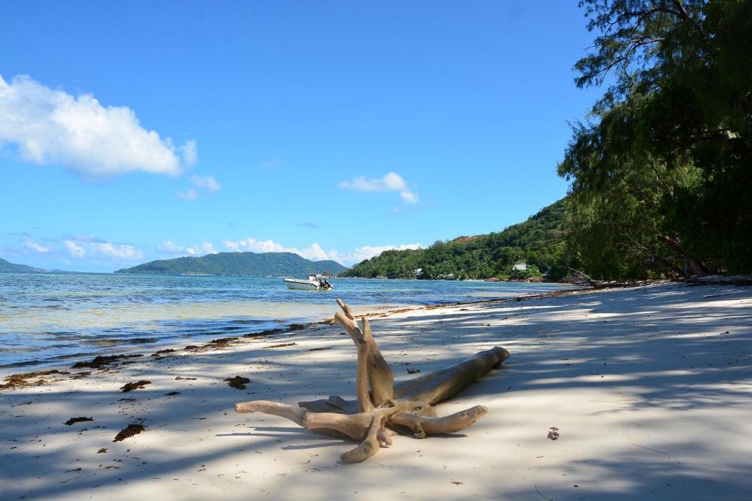 Photo of Others in Anse la Blague