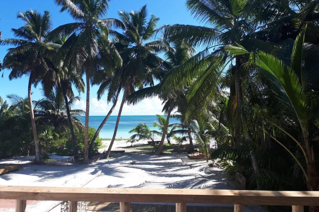 Photo of Others in Grand Anse