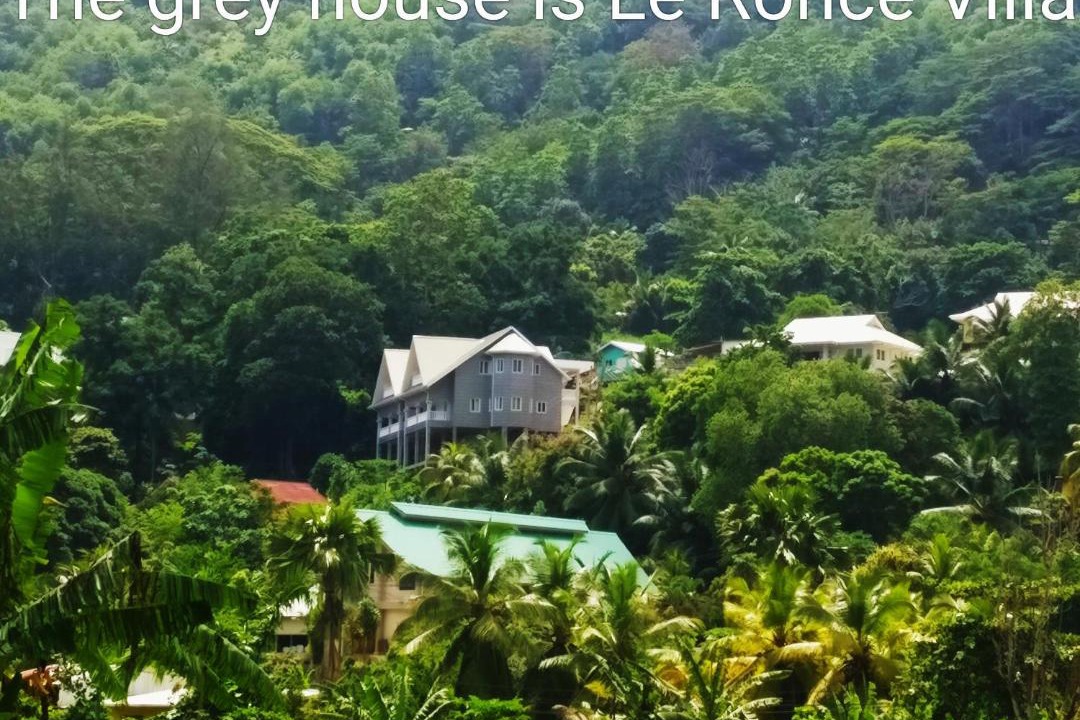 Photo of Others in Anse Royale