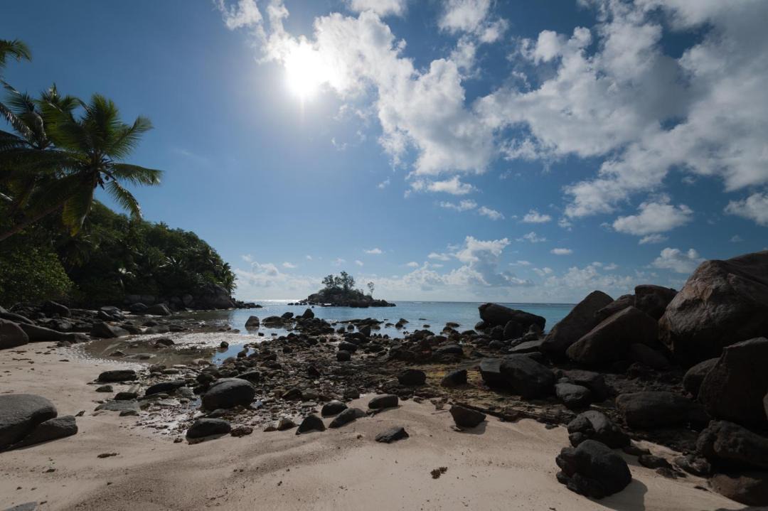 Photo of Others in Anse Royale