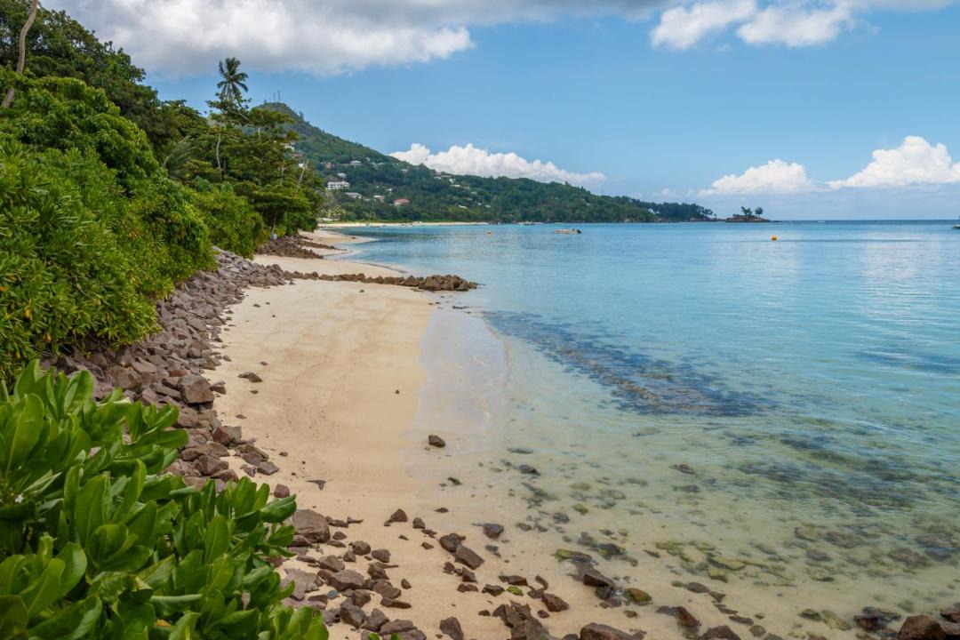 Photo of Others in Anse Royale