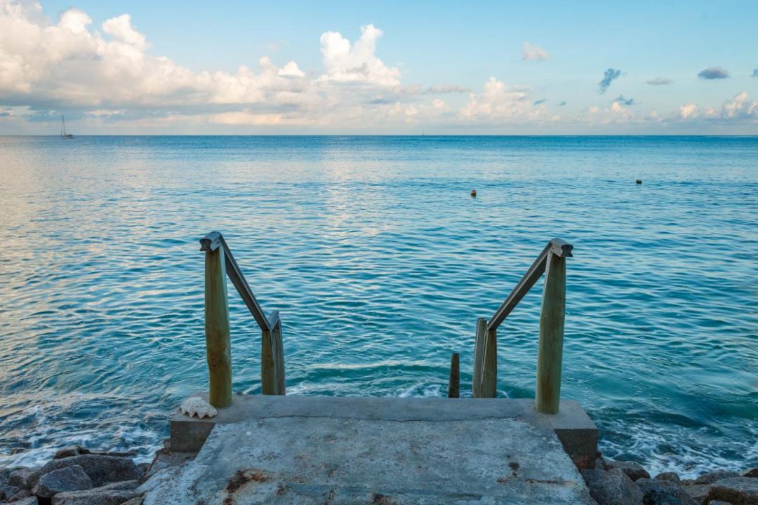 Photo of Others in Anse Royale