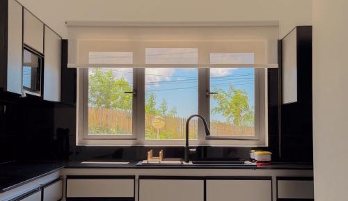 Deluxe One-Bedroom Apartment