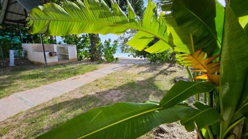 Deluxe Suite Beach View