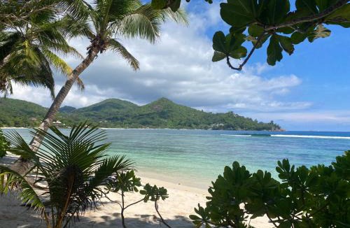 Anse Boileau Ski Chalet | Sunbird Bungalow