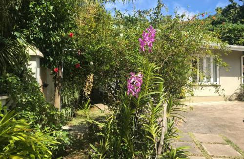 Anse Boileau Ski Chalet | Sunbird Bungalow