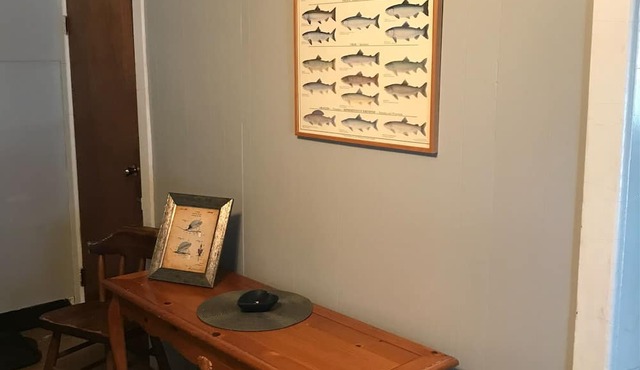 Cozy convenient home, private access to the Salmon River. in Pulaski